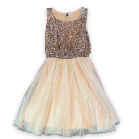 H&M Dresses Hm Divided Sequins Tulle Fit Flare Skater Dress Party
